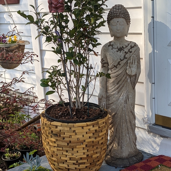 Meet your Posher, Tessie - Picture 8 of 16